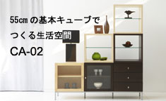 ���ꥸ�ʥ륭��ӥͥå� CA02