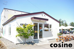 cosine�ʥ��������