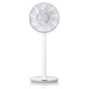 ���꡼��ե���2�� / �ۥ磻�ȡߥ��졼 ��GreenFan 2��