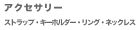 �A�N�Z�T���[